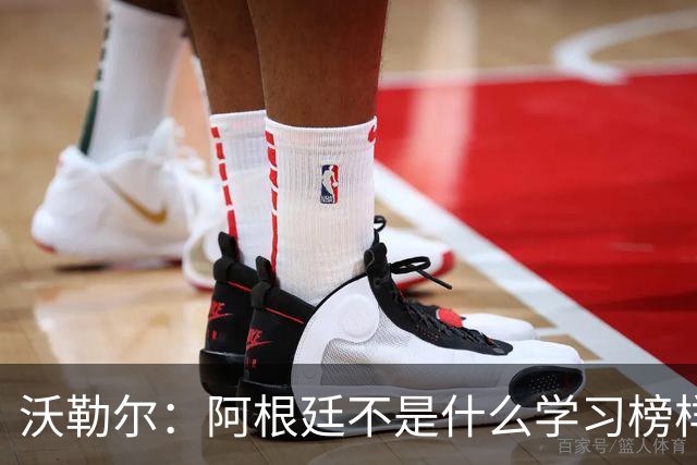 沃勒尔：阿根廷不是什么学习榜样，德国应该学西班牙和英格兰